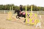 SBM_007198