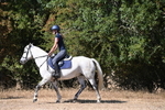 WJ6_8455