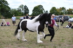 WJ6_5506