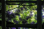 Secret Window