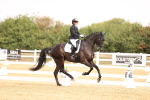 Class 2 - Advanced Medium 5 - 10.35-11.55 portfolio