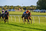 300926-Race 7-Prince Of Calypso-7048