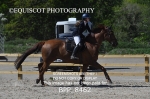 BPP_8462