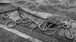 Quayside Ropes