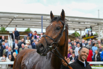150525-Pride Of Arras-4831