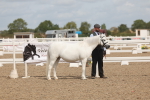 SBM_04926