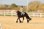 SBM_000933