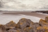 Low Tide