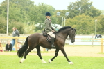 SBM_72165