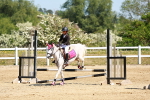 SBM_007403