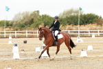 SBM_001236
