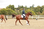 SBM_011368