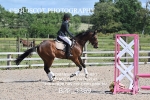 BPP_3369