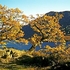 Ullswater