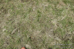 PtP 180218 1011