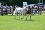 SBM_03883