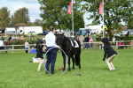 SBM_46957