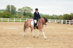 SBM_005964