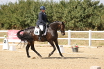SBM_015067