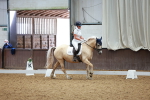SBM_000690