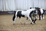 SBM_5655