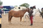 SBM_07801