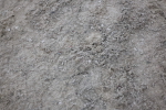 SBM_006015