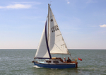 140729 SUMMER WINE 4584 WT7A1719