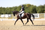 SBM_006760