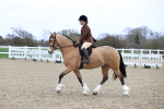 SBM_007009
