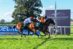 140926-Race 7-Forest Caper-7966