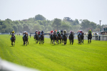 270523-Race 1-Doctor Khan Junior-0153