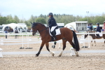 SBM_00503