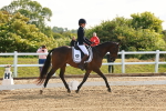 SBM_006887