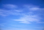 Sky25
