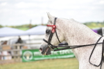 Class 122-123 - LIHS BHSA Raising Star Style and Performance Series portfolio