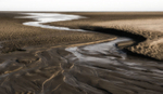 Sandlines
