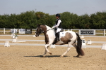 SBM_004159