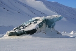 Iceberg 2959