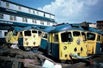 31st May 1987