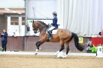 SBM_003765