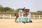 SBM_001815
