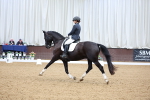 SBM_018964
