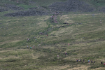 Ingleborough-533