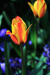 APRIL 2015-8