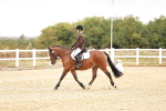 SBM_000643