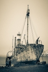 The Petrel