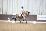 SBM_003197