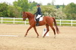 SBM_005629