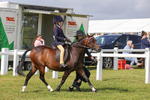 Class 29: Lead Rein SP/SHP portfolio